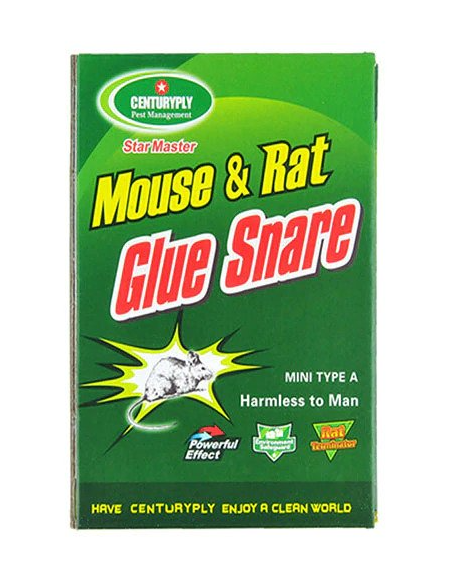 Mouse Glue Mouse Insect Rodent Lizard Trap Rat Catcher Adhesive Sticky Glue  Pad - Non Poisonous - Non Toxic - Odourless