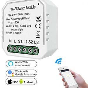 Smart WiFi 10Amp 2 Gang Switch DIY Module for Smart Home Automation Solution | No Hub Required | Compatible with Alexa, Google Home and IFTTT | Timer Controller (White)