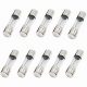 CalsoB FAST BLOW 5X20mm GLASS FUSE – 10A ( PACK OF 10)